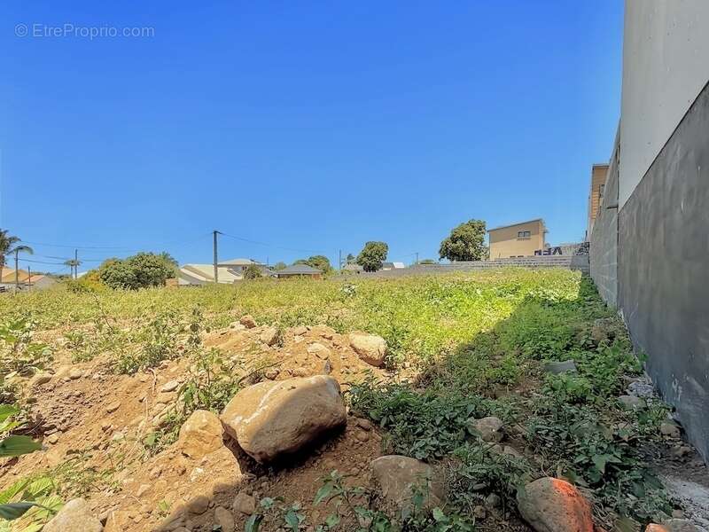 Terrain à SAINT-LOUIS