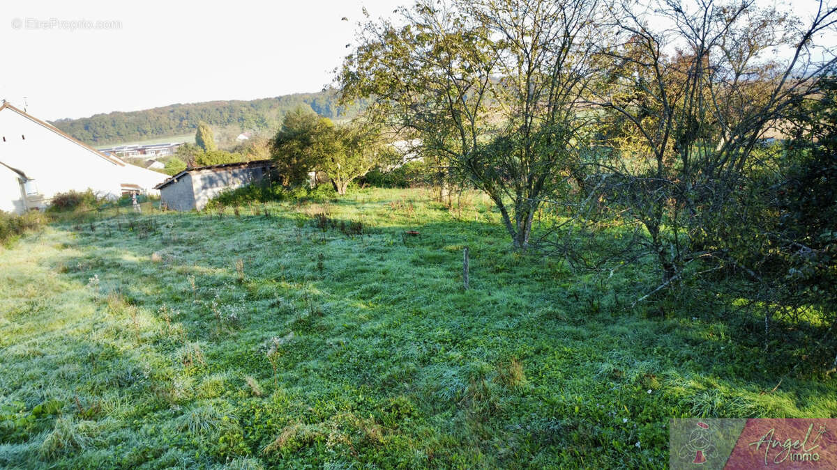Terrain à DAMMARTIN-MARPAIN