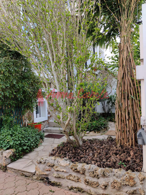 Maison à LE PERREUX-SUR-MARNE