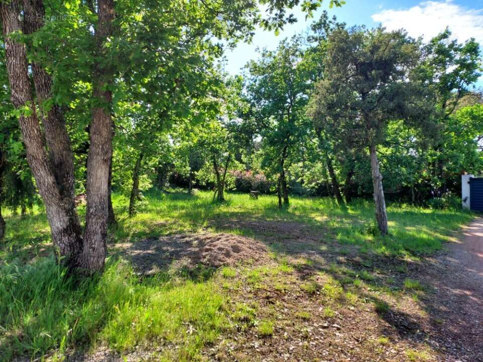 Terrain à LE CANNET-DES-MAURES
