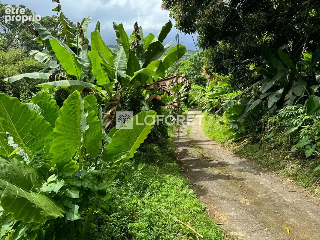 A vendre : Terrain 8505 m² au Lorrain - photo 6