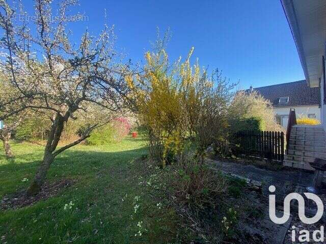 Photo 9 - Maison à FOLSCHVILLER