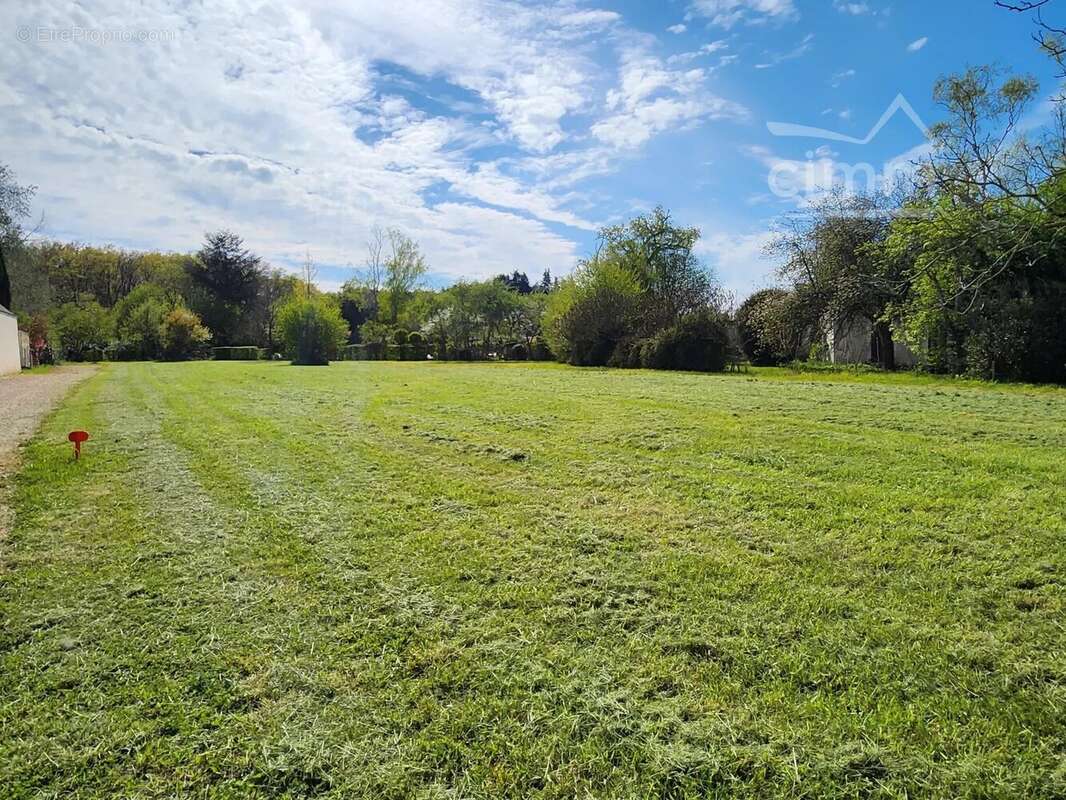 Terrain à SAINT-ELOY-DE-GY