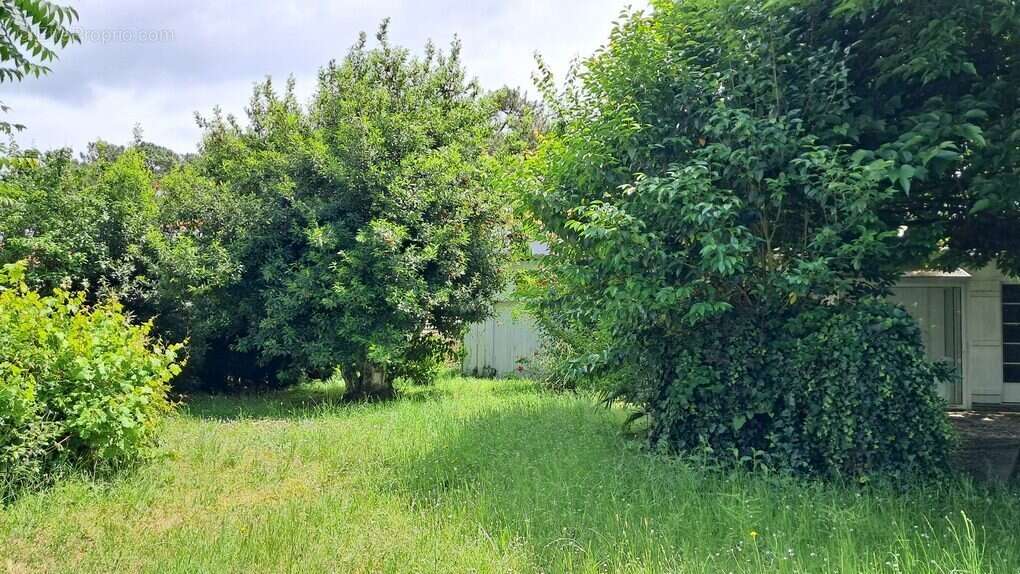 Maison à LEGE-CAP-FERRET