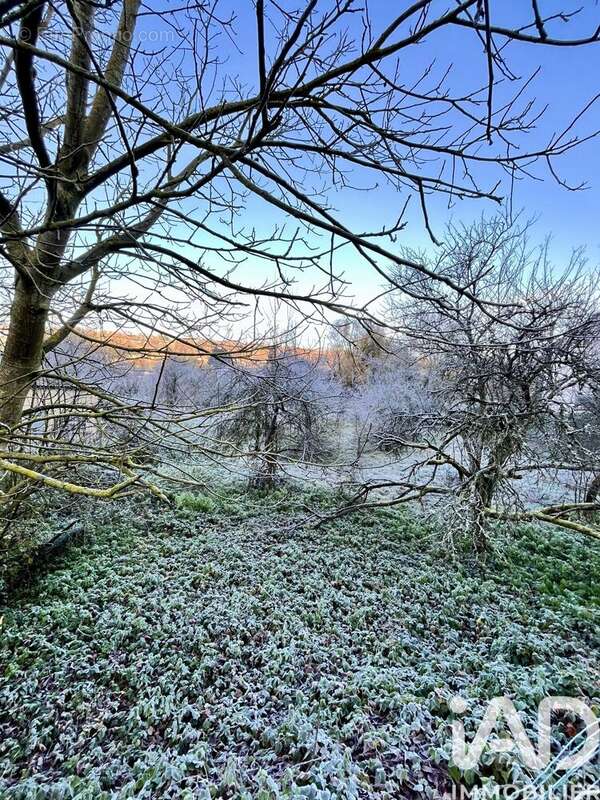 Photo 2 - Terrain à HOMBOURG-HAUT