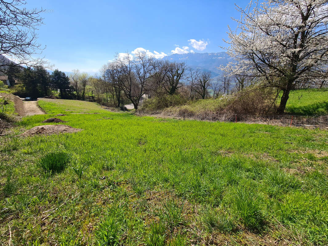Terrain à LE CHEYLAS