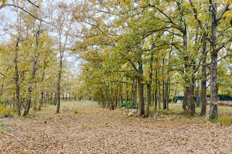 Terrain à TRANS-EN-PROVENCE