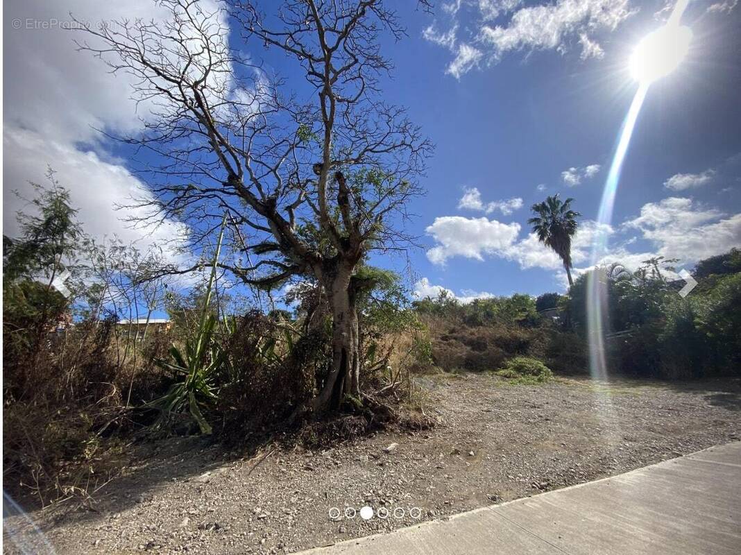 Terrain à SAINT-PAUL