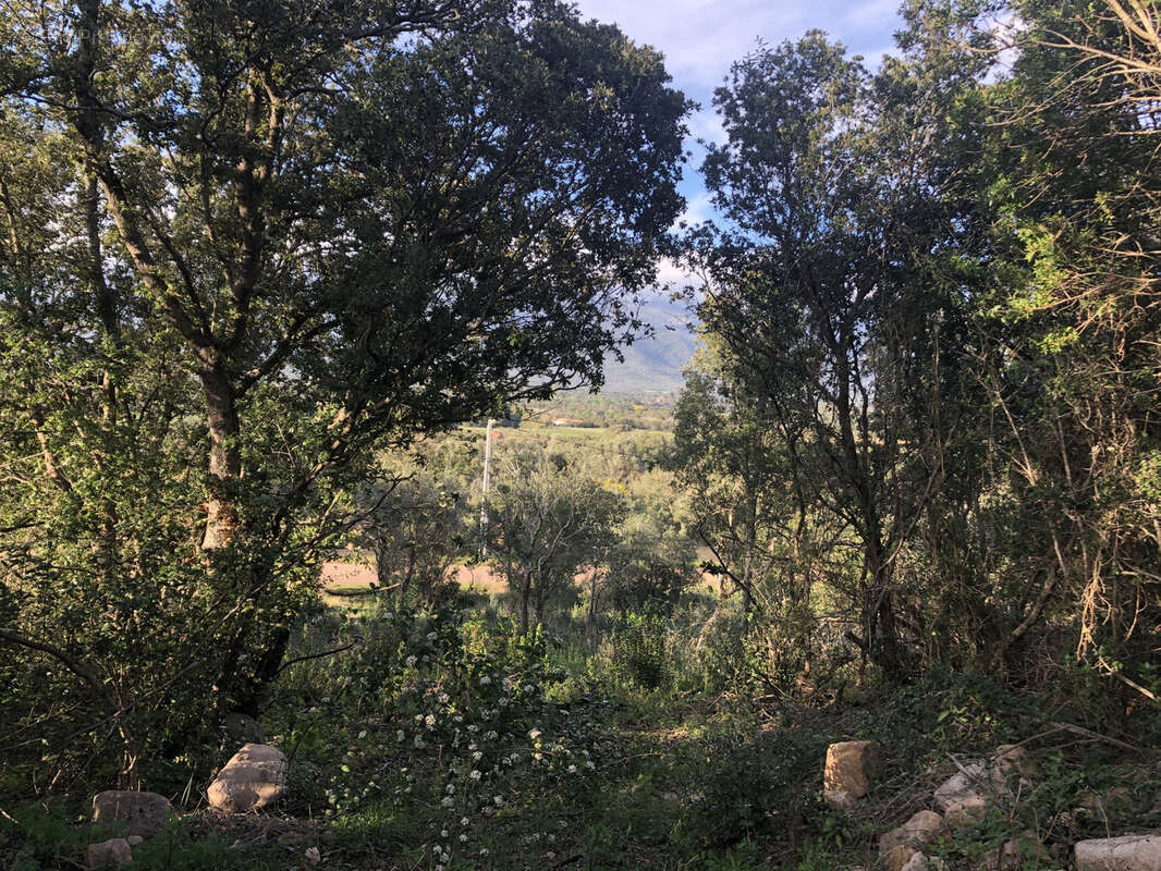Terrain à FIGARI