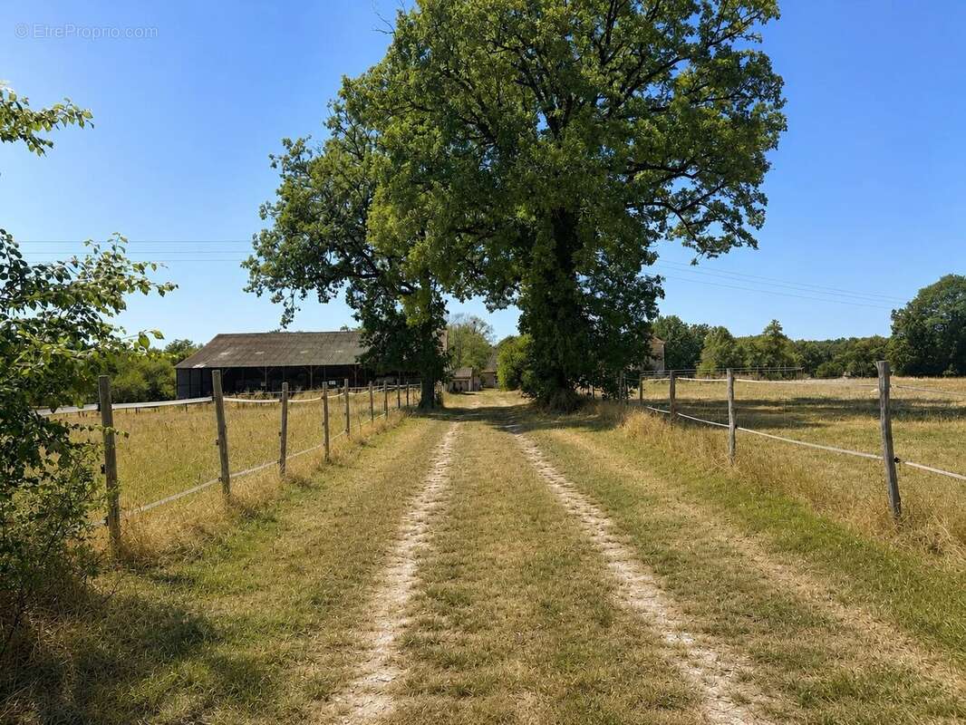 Propriété de caractère en pierres – Domaine équestre sur près de 6 hectares - photo 27