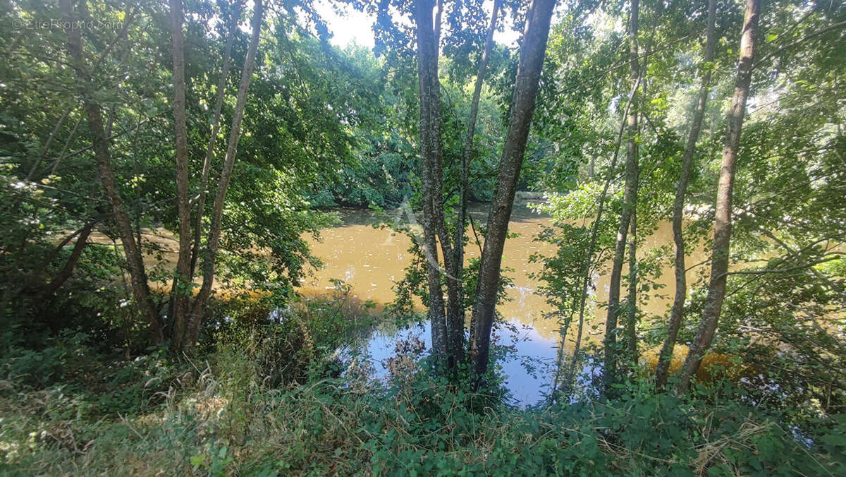 Un véritable havre de paix au poiré-sur-vie ! - photo 6