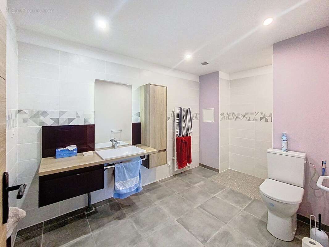 Photo 5 - Maison à SAINT-BENOIT-DE-CARMAUX