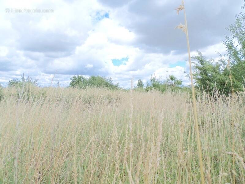 Terrain à PUYRAVAULT