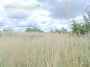 Terrain à PUYRAVAULT