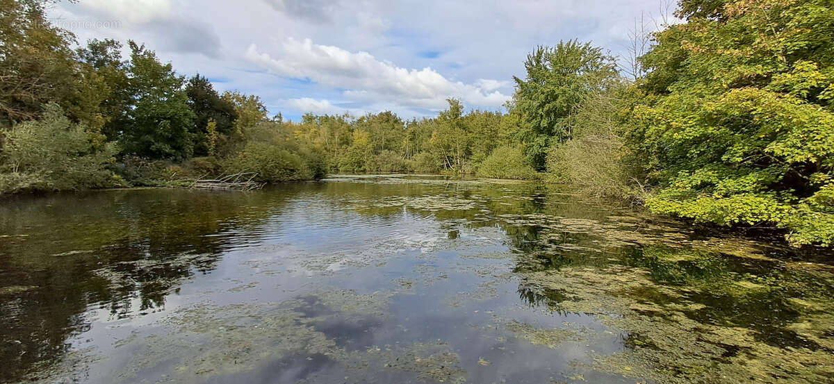 Maison à BRAY-LES-MAREUIL