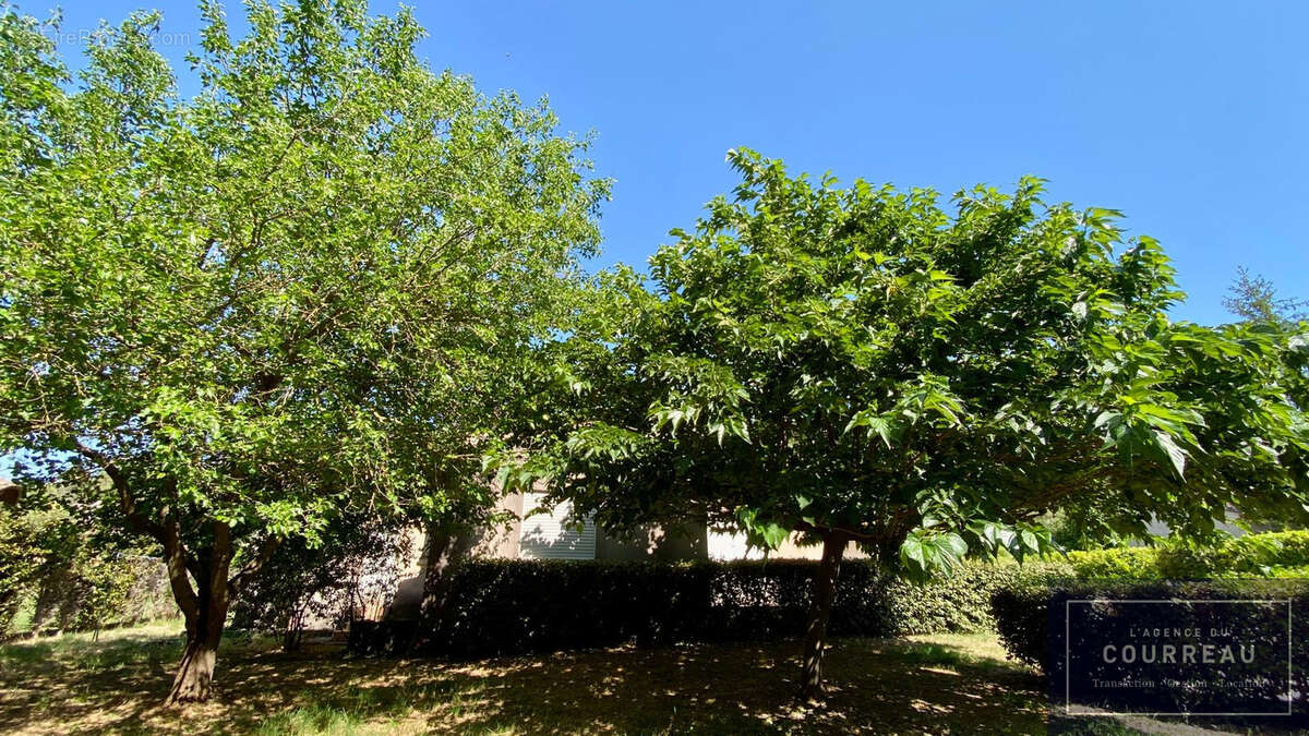 MAISON T5 de 163 M2 avec terrasses, piscine & garage - photo 11