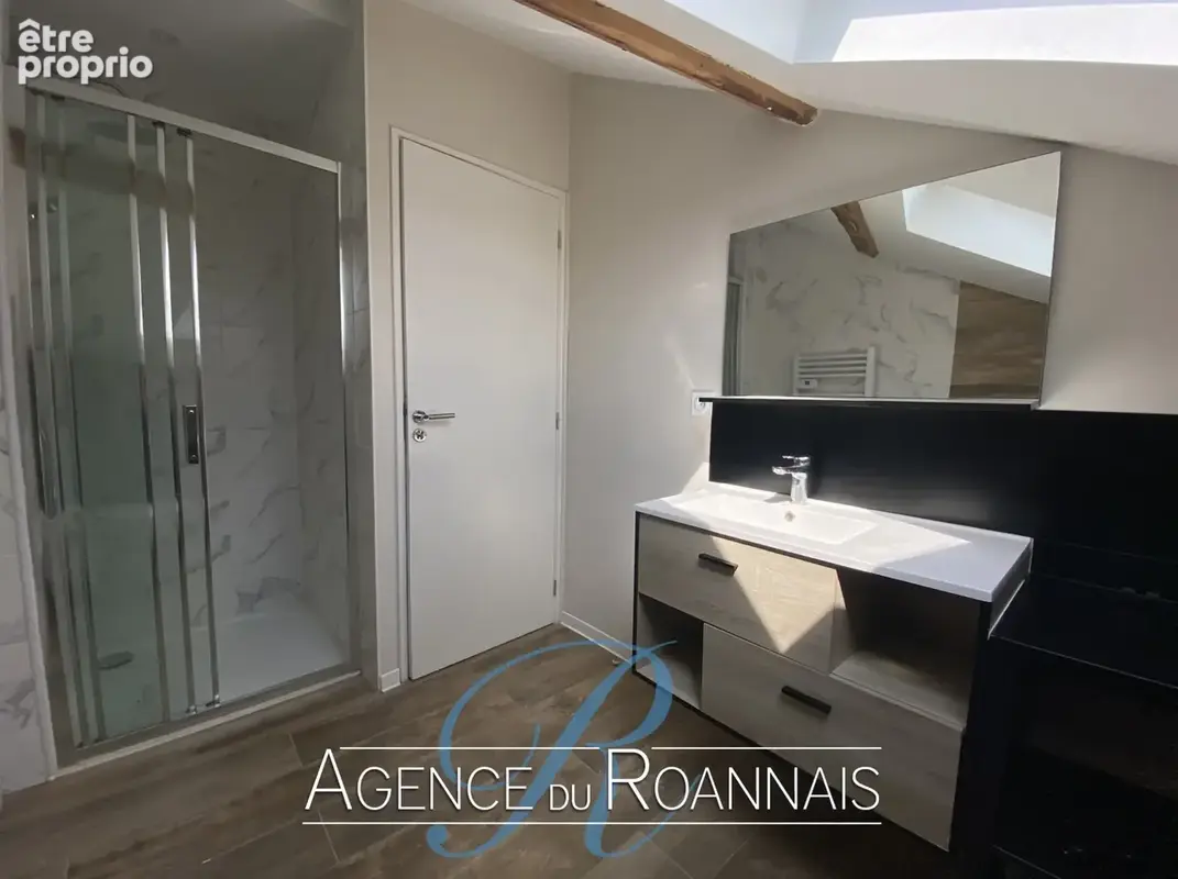 Appartement de Type 2 à vendre à ROANNE au dernier étage d'une petite copropriété entièrement rénové - photo 4