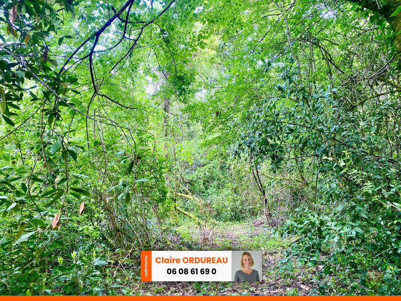 Terrain à SAINT-CAPRAIS-DE-BORDEAUX