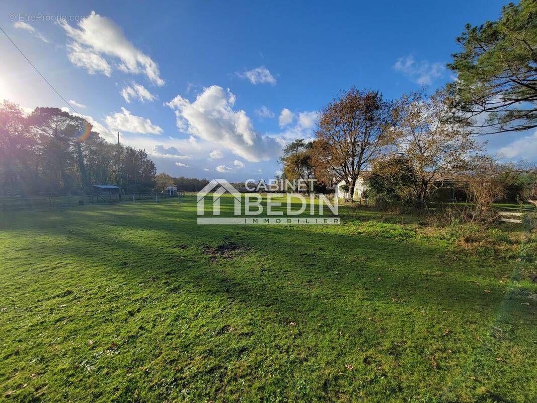 Terrain à LEGE-CAP-FERRET