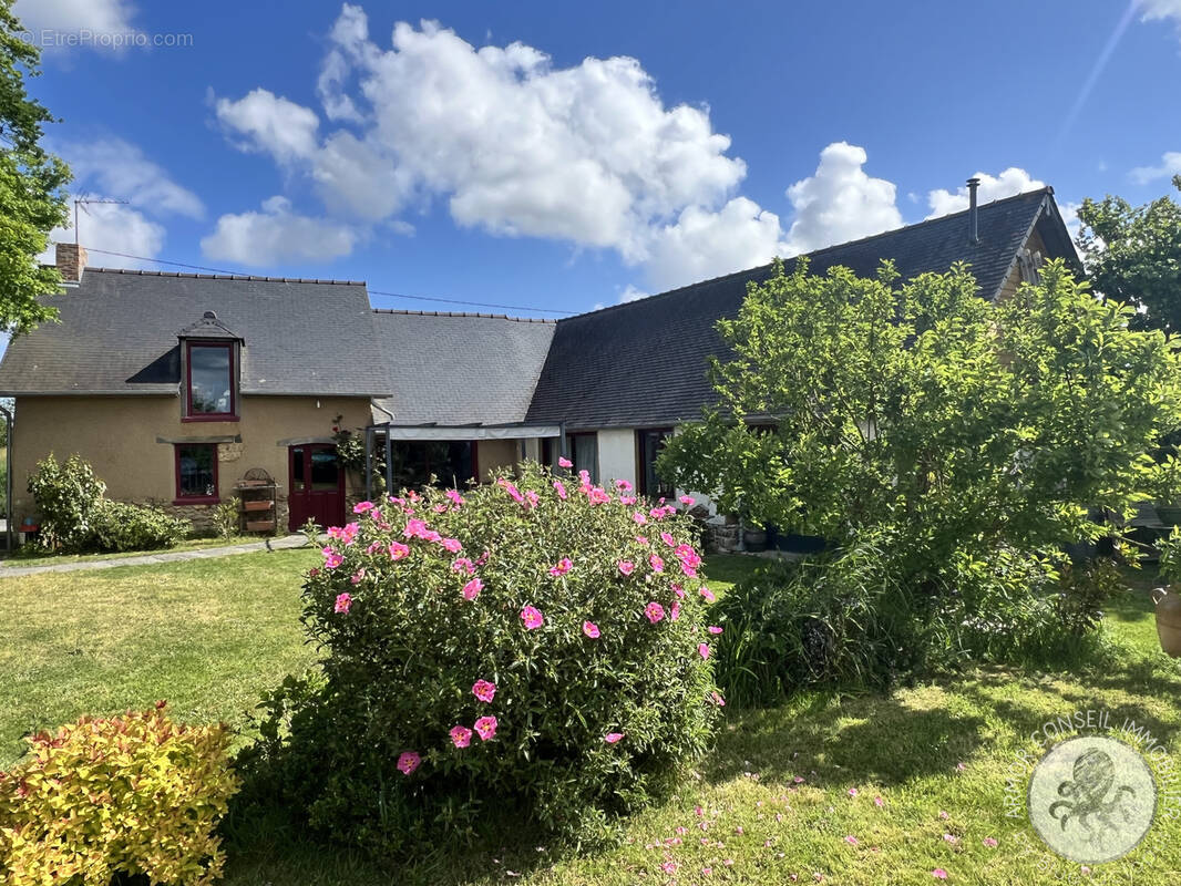 Maison à SAINT-POTAN