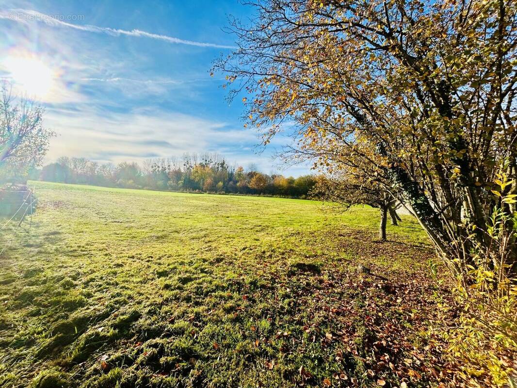 Terrain à CHOISY-EN-BRIE