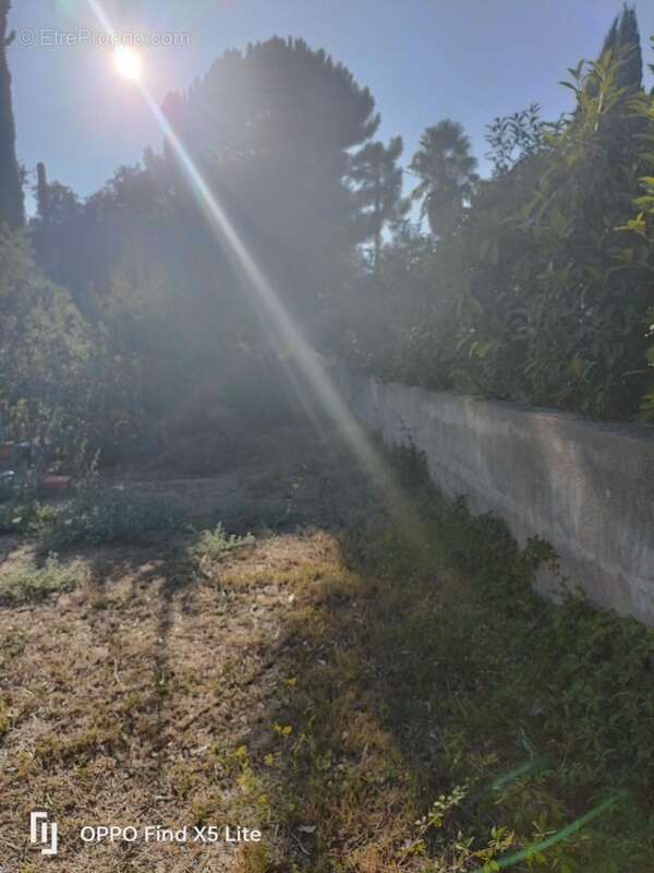 Terrain à ROQUEBRUNE-SUR-ARGENS
