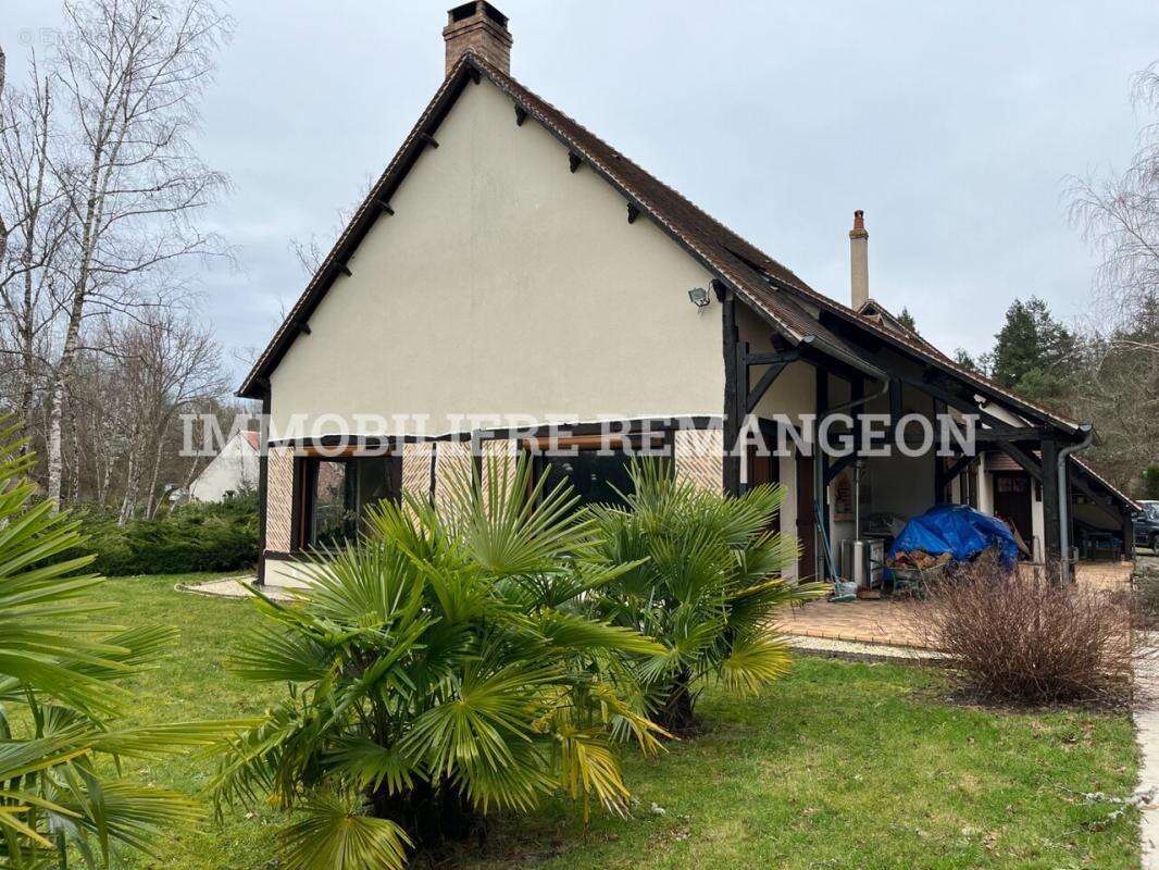 Maison à NOUAN-LE-FUZELIER