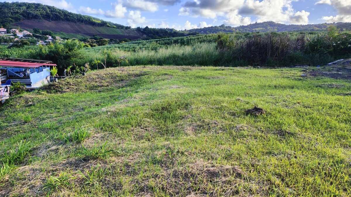 Terrain à LE VAUCLIN