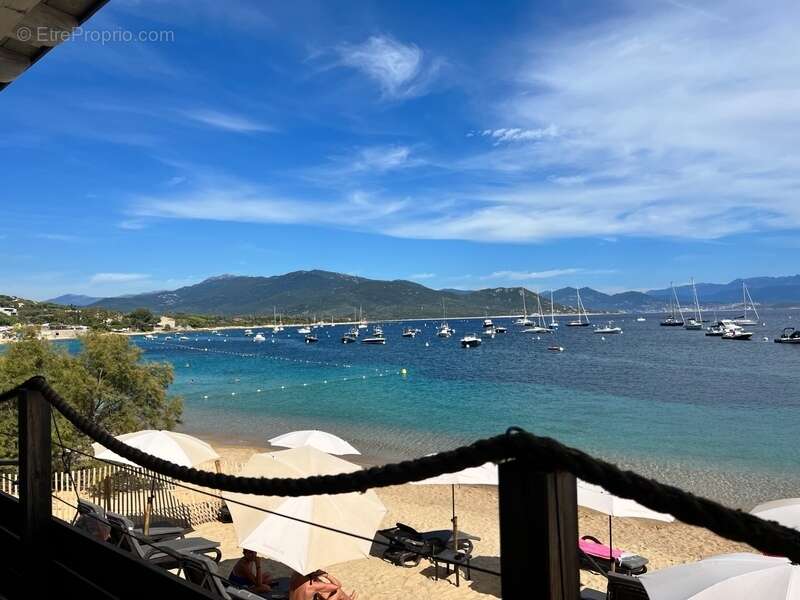 En Corse du Sud, à vendre 3 pièces SERRA DI FERRO (20) - photo 23