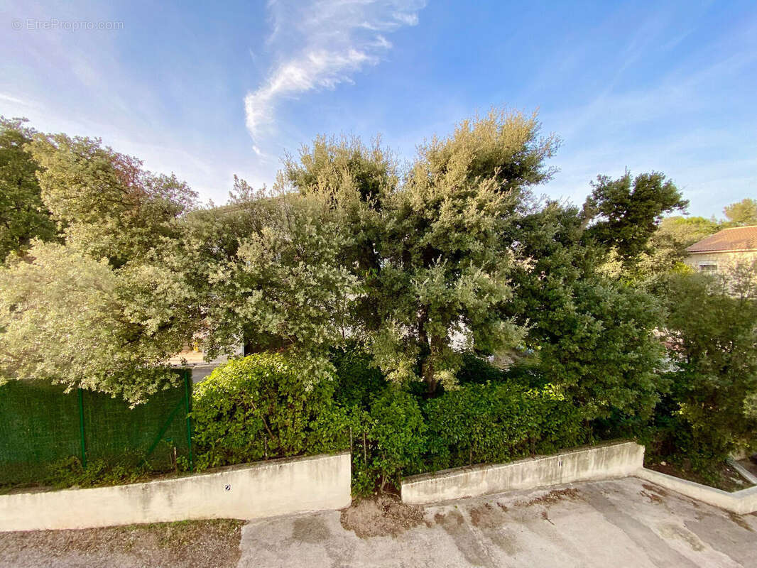 Photo 3 - Appartement à MONTPELLIER