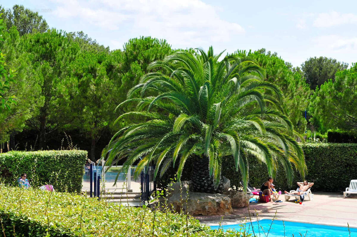 Appartement à BALARUC-LES-BAINS