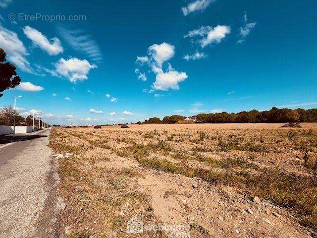 Terrain à PERPIGNAN