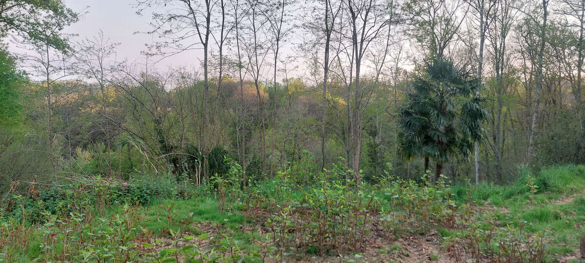 Terrain à SAINT-FAUST