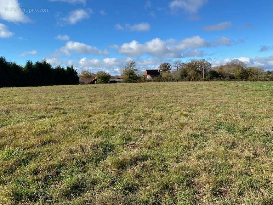 Terrain à ROANNES-SAINT-MARY