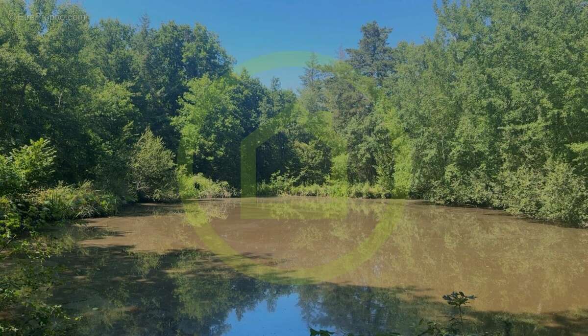 Maison à LA FERTE-SAINT-AUBIN