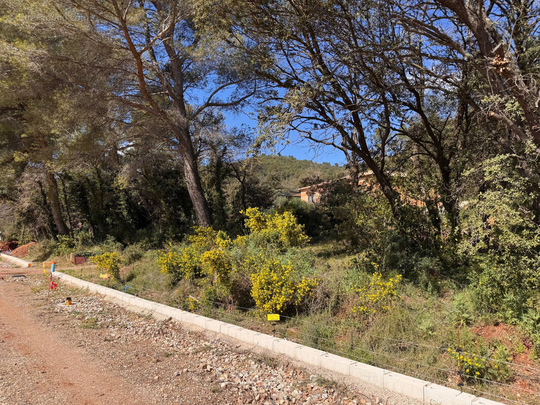 Terrain à PUGET-VILLE