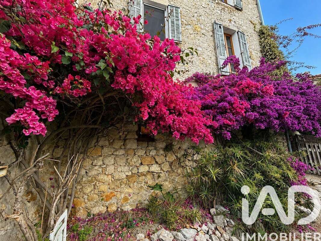 Photo 5 - Maison à LE BAR-SUR-LOUP