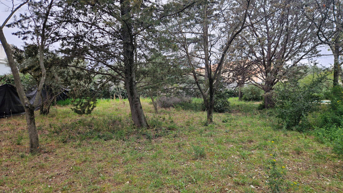 Terrain à SAINT-JEAN-DE-FOS