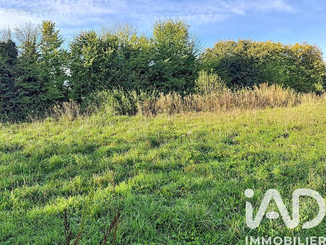 Photo 1 - Terrain à PLELO