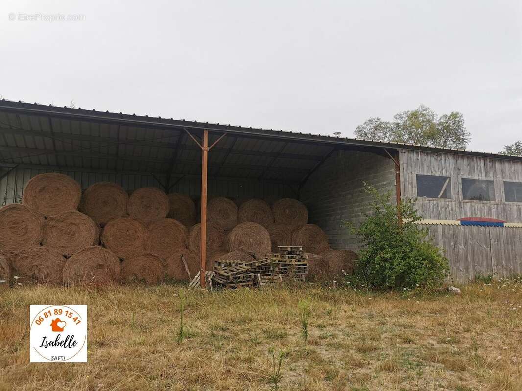 Terrain 343789 m² à Belmont  - photo 4
