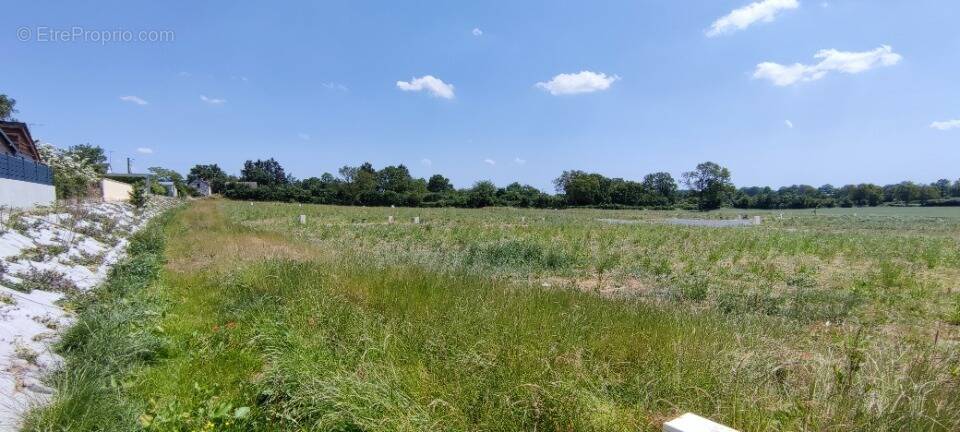 Terrain à SAINT-GEORGES-SUR-LOIRE