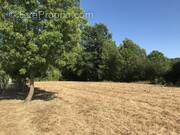 Terrain à SAINT-NEXANS