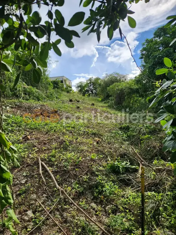 A VENDRE Terrain Le Gosier 1094 m2 - photo 4