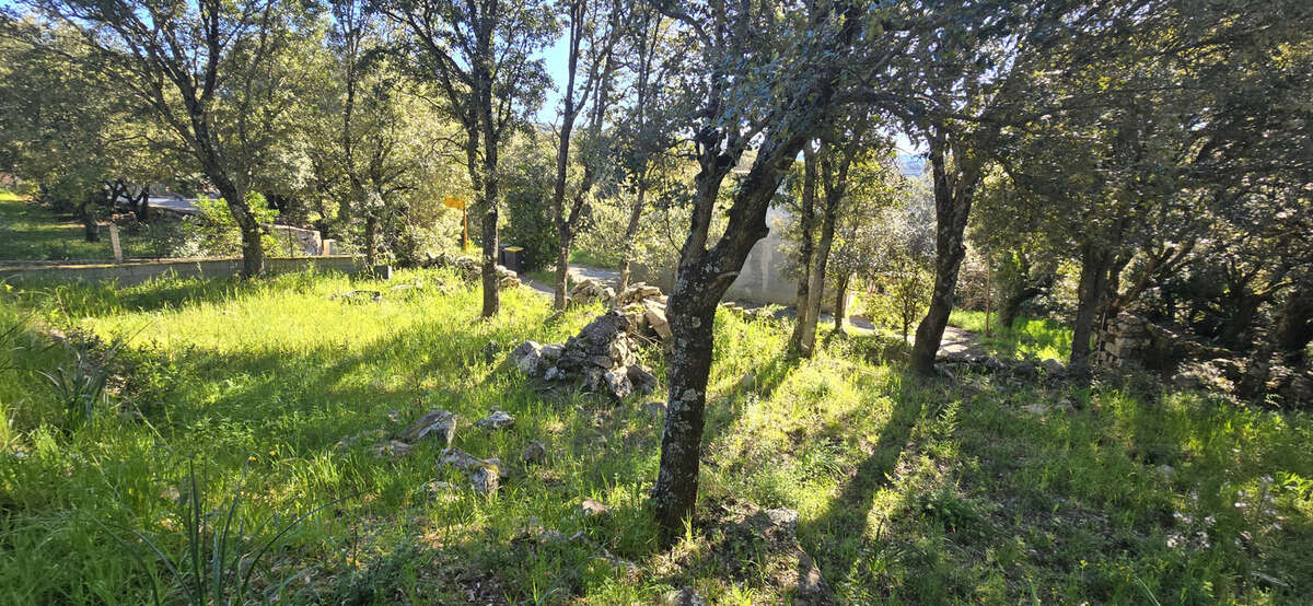 Terrain à GIUNCHETO