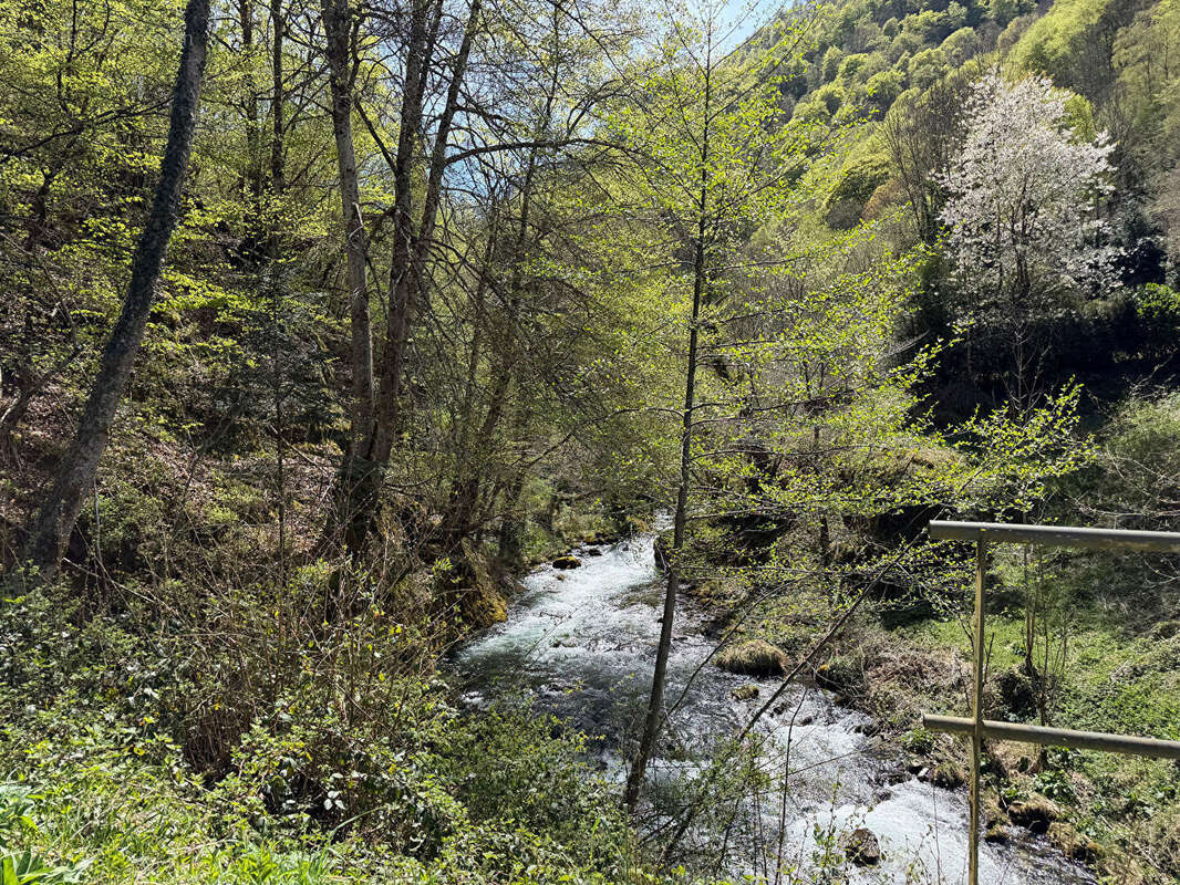Propriété rurale,3 granges,5 Ha,source,09800 - photo 15