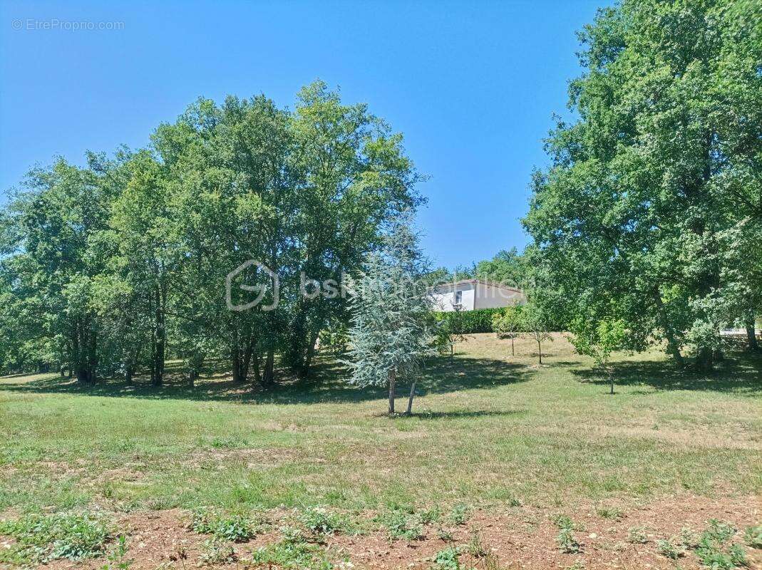  Maison à vendre à Salviac – Vue dominante, piscine, dépendances et terrain de 9 529 m² - photo 30