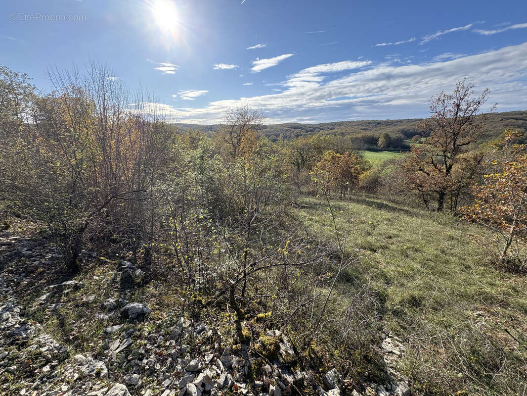 Terrain à CHASTEAUX