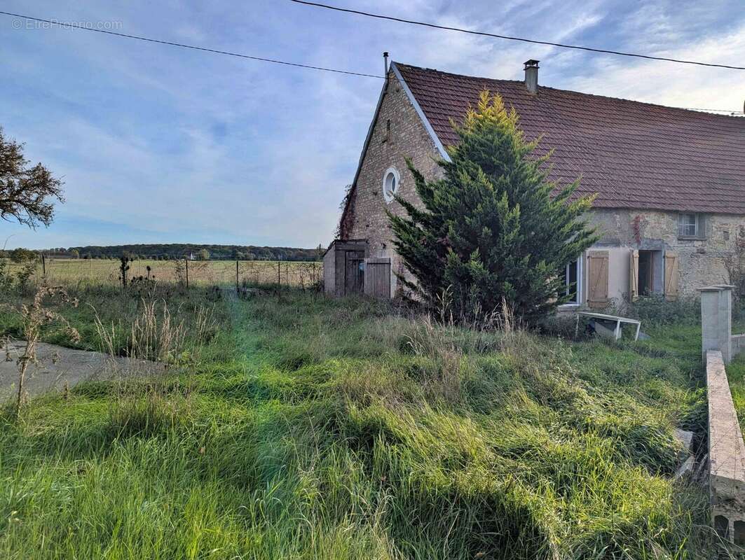 jardin - Maison à DRUYES-LES-BELLES-FONTAINES