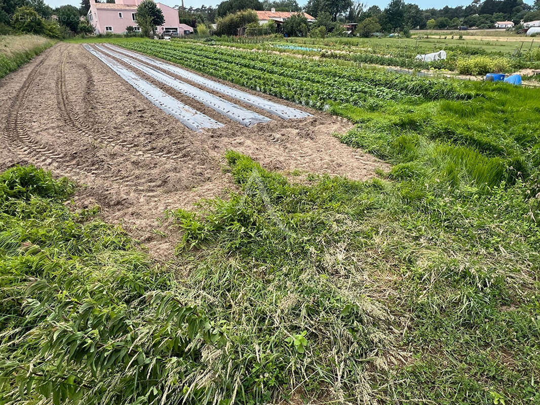 Terrain de loisirs Longeville Sur Mer - photo 3
