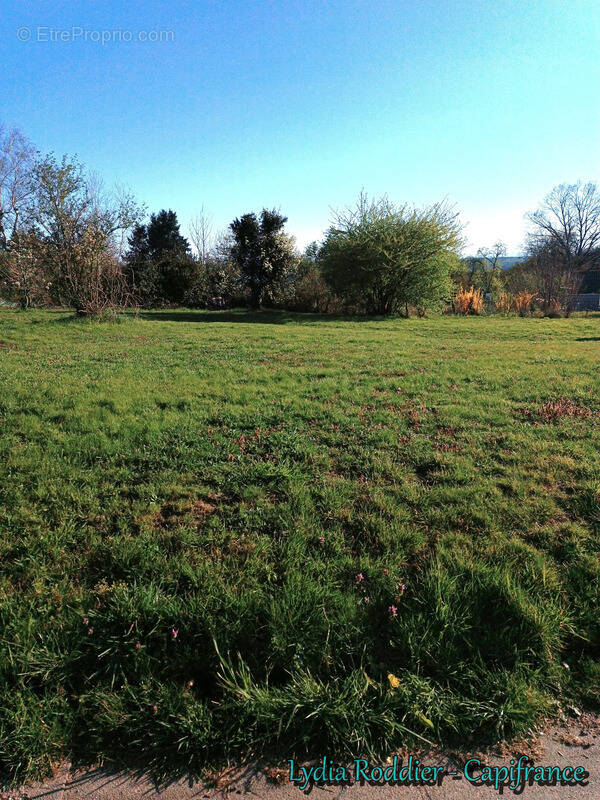 Terrain à PUY-GUILLAUME